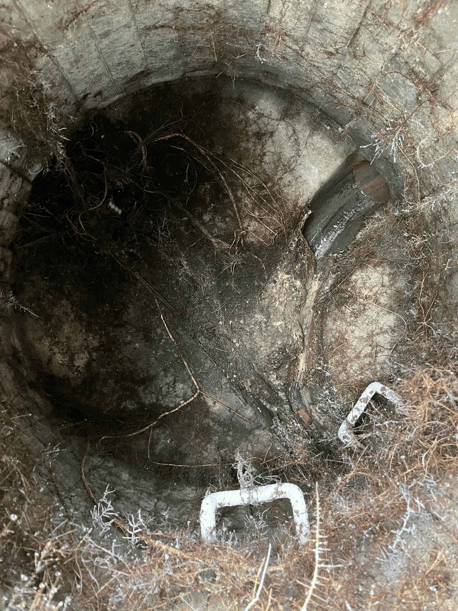 Your Preferred Local Blocked Drains plumber in Mona Vale, Specialist